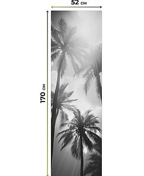 Рулонная штора «Артионт -404- ширина 52 см»