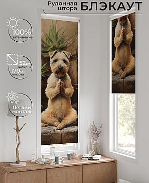 Рулонная штора «Артионт - 405 - ширина 52 см» | фото