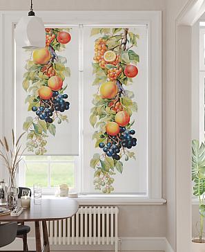 Рулонная штора  «Бетта-17 - ширина 62 см»