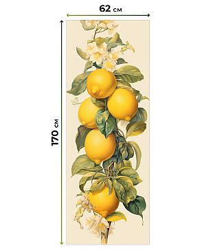 Рулонная штора «Бетта-19 - ширина 62 см» | фото 3