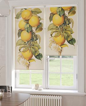 Рулонная штора  «Бетта-19 - ширина 62 см»