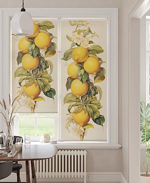 Рулонная штора  «Бетта-19 - ширина 62 см»