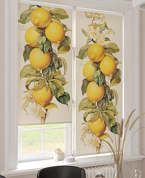 Рулонная штора  «Бетта-19 - ширина 62 см»