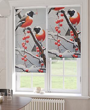 Рулонная штора  «Бетта-47 - ширина 62 см»