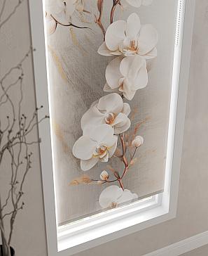 Рулонная штора  «Бетта-80 - ширина 62 см»