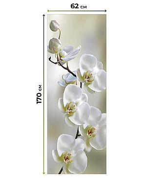 Рулонная штора  «Бетта-87 - ширина 62 см»