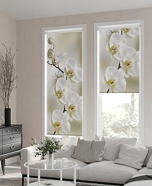 Рулонная штора  «Бетта-87 - ширина 62 см»