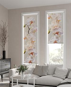 Рулонная штора «Бетта-315 - ширина 62 см» | фото 3