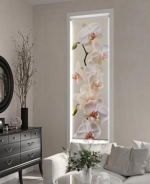 Рулонная штора  «Бетта-315 - ширина 62 см»