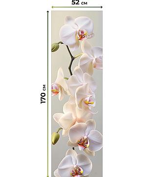 Рулонная штора  «Бетта-315 - ширина 62 см»