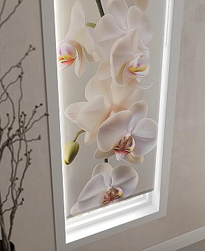 Рулонная штора  «Бетта-315 - ширина 62 см»