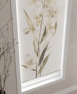 Рулонная штора  «Бетта-323 - ширина 62 см»