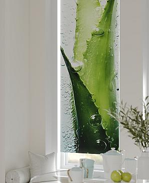 Рулонная штора «Плутея - 425 - ширина 52 см» | фото 2