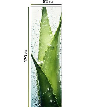 Рулонная штора «Плутея - 425 - ширина 52 см» | фото 3