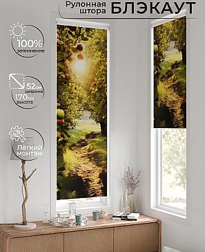 Рулонная штора «Плутея - 475 - ширина 52 см» | фото