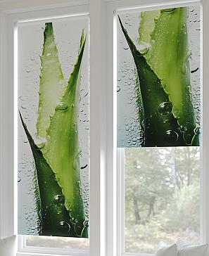 Рулонная штора «Федера - 425 - ширина 62 см» | фото 3