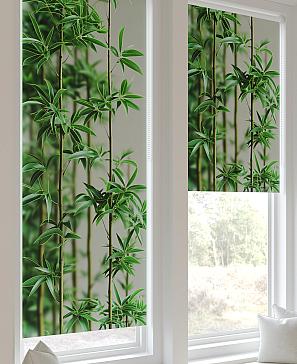 Рулонная штора «Федера - 440 - ширина 62 см» | фото 3