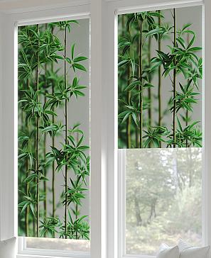 Рулонная штора «Федера - 440 - ширина 62 см»