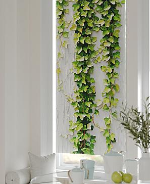 Рулонная штора «Федера - 494 - ширина 62 см»