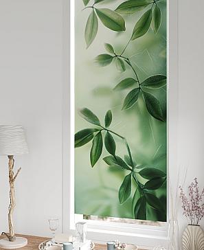 Рулонная штора «Федера - 495 - ширина 62 см»