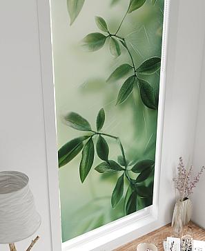 Рулонная штора «Федера - 495 - ширина 62 см»