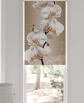 Рулонная штора «Федера - 505 - ширина 62 см»