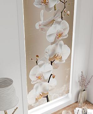 Рулонная штора «Федера - 505 - ширина 62 см»