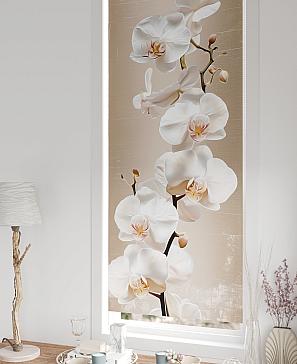 Рулонная штора «Федера - 505 - ширина 62 см»