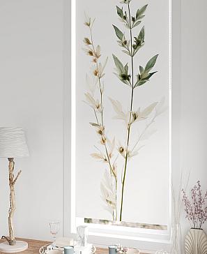 Рулонная штора «Федера - 508 - ширина 62 см»