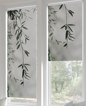 Рулонная штора «Федера - 509- ширина 62 см» | фото 2