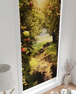 Рулонная штора «Федера - 475 - ширина 62 см» | фото 3