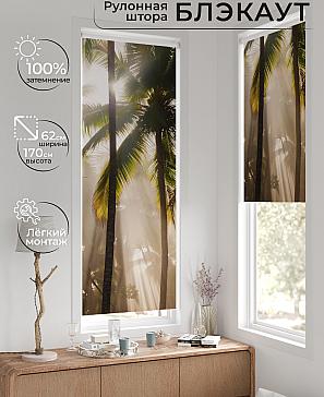 Рулонная штора «Федера - 556- ширина 62 см» | фото