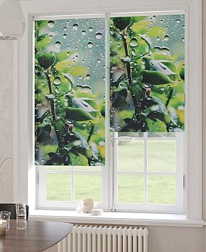 Рулонная штора «Бетта-413 - ширина 62 см» | фото 3