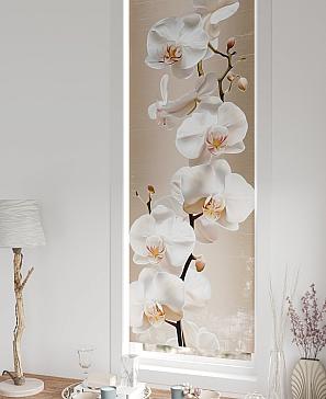 Рулонная штора «Плутея - 505 - ширина 52 см» | фото 2