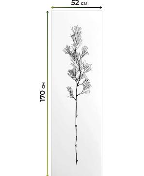 Рулонная штора «Плутея - 554 - ширина 52 см» | фото 3