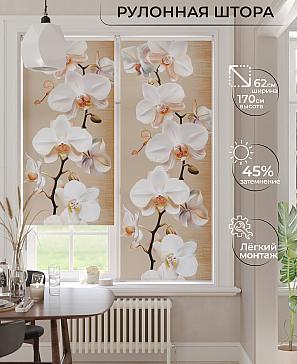 Рулонная штора «Бетта-471 - ширина 62 см, длина 170 см.» | фото