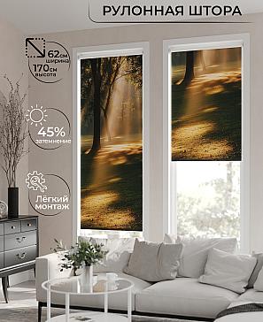 Рулонная штора «Бетта-484 - ширина 62 см, длина 170 см.» | фото