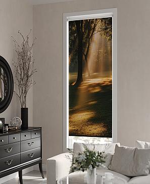 Рулонная штора «Бетта-484 - ширина 62 см, длина 170 см.» | фото 2