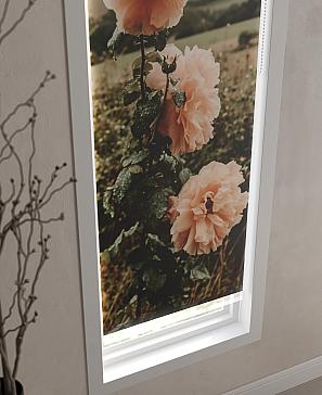 Рулонные <br>шторы «Анимаис-445  - ширина 52 см.»