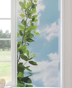 Рулонные <br>шторы «Анимаис-456  - ширина 52 см.»