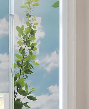 Рулонные <br>шторы «Анимаис-456  - ширина 52 см.»