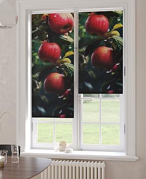 Рулонная штора «Анимаис-465  - ширина 52 см.» | фото 3