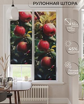 Рулонная штора «Анимаис-465  - ширина 52 см.» | фото