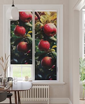 Рулонные <br>шторы «Анимаис-465  - ширина 52 см.»