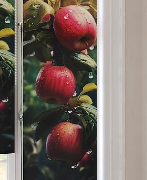 Рулонные <br>шторы «Анимаис-465  - ширина 52 см.»