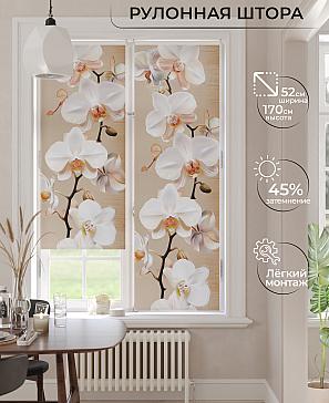 Рулонная штора «Анимаис-471 - ширина 52 см.» | фото