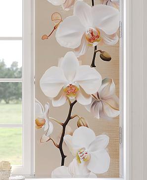 Рулонная штора «Анимаис-471 - ширина 52 см.» | фото 2