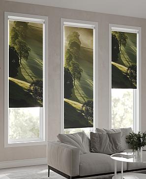 Рулонная штора «Анимаис-483 - ширина 52 см.» | фото 2