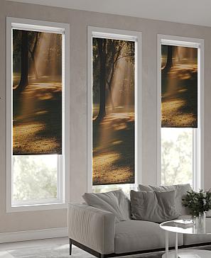 Рулонная штора «Анимаис-484 - ширина 52 см.» | фото 2