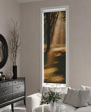 Рулонная штора «Анимаис-484 - ширина 52 см.» | фото 3